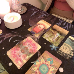 一對一神諭卡課程